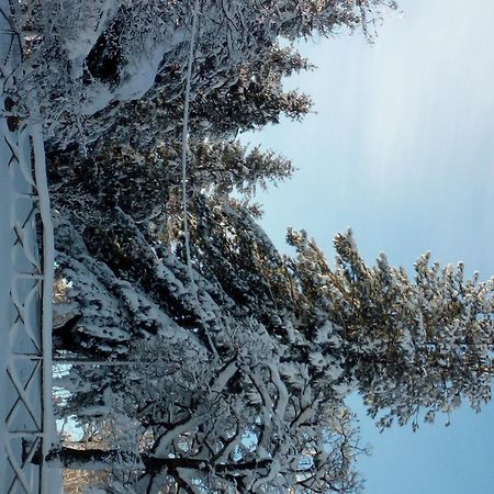 Bed and Breakfast Il Castagno Montemonaco Esterno foto