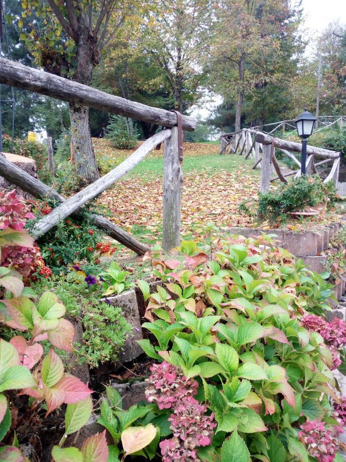Bed and Breakfast Il Castagno Montemonaco Esterno foto