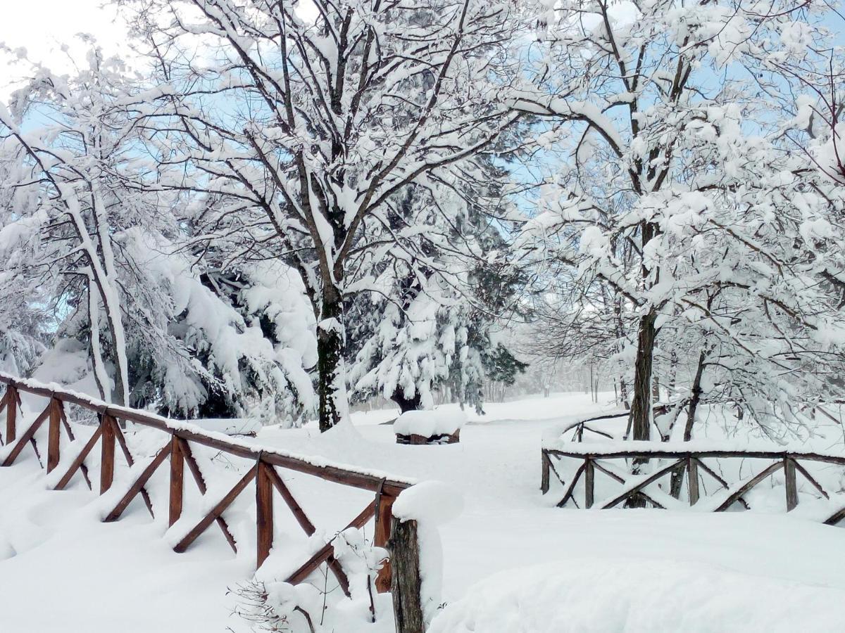 Bed and Breakfast Il Castagno Montemonaco Esterno foto