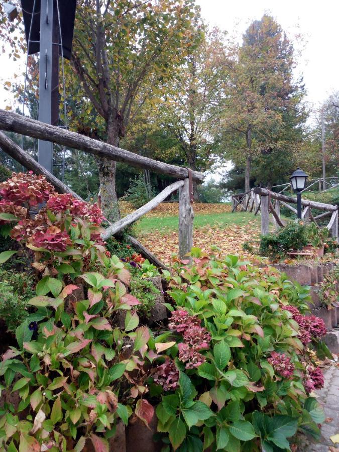 Bed and Breakfast Il Castagno Montemonaco Esterno foto