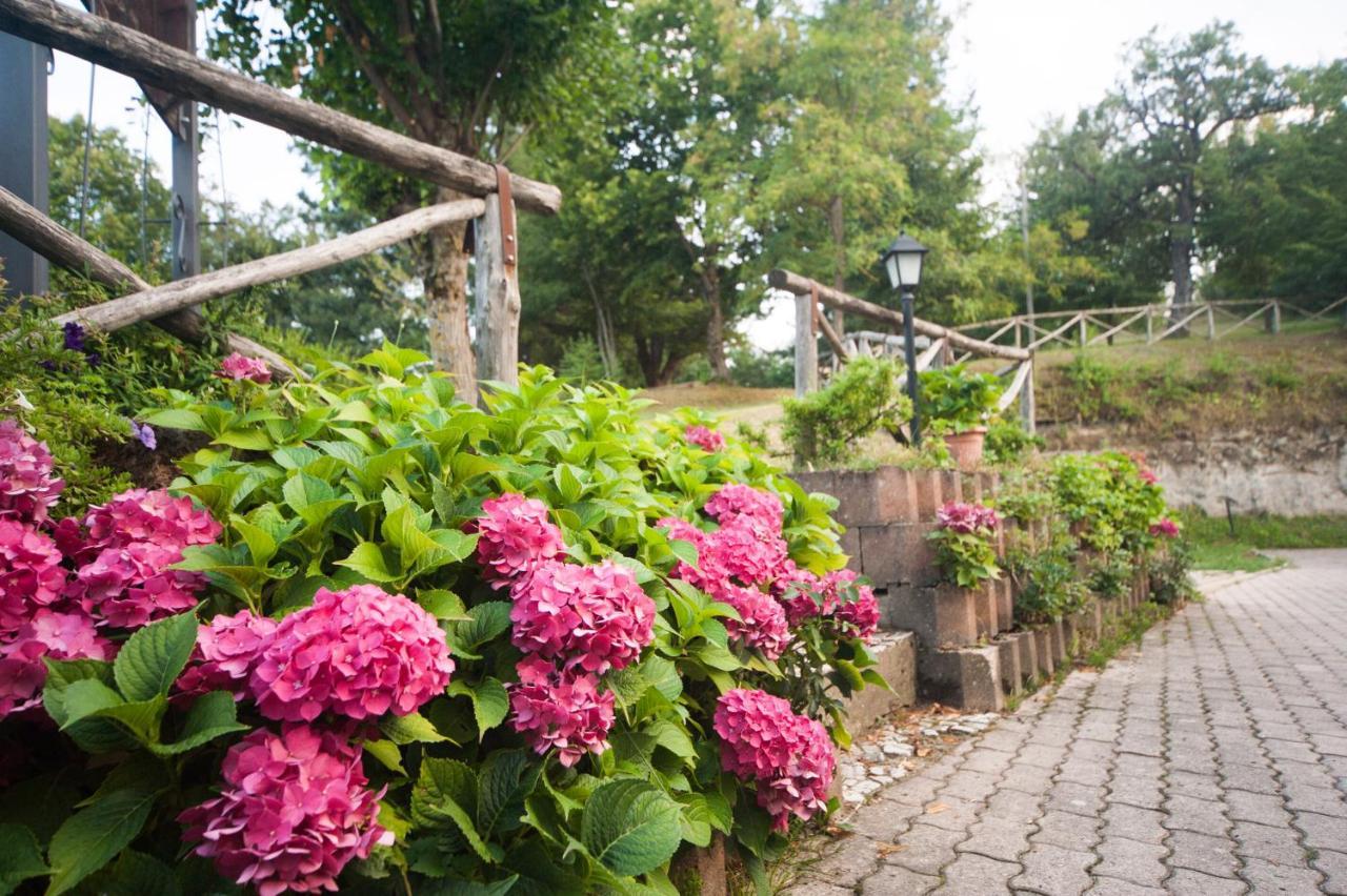 Bed and Breakfast Il Castagno Montemonaco Esterno foto
