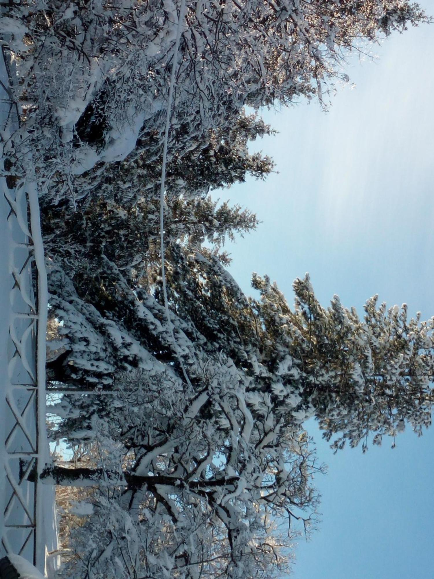 Bed and Breakfast Il Castagno Montemonaco Esterno foto